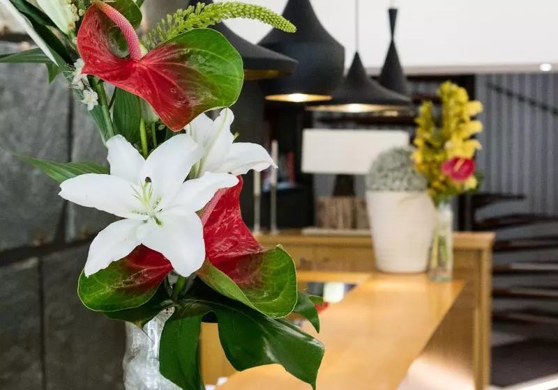 Fotos del hotel Hôtel Rotonde:  8