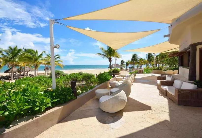 Fotos del hotel Catalonia Privileged Maroma  All Inclusive:  21