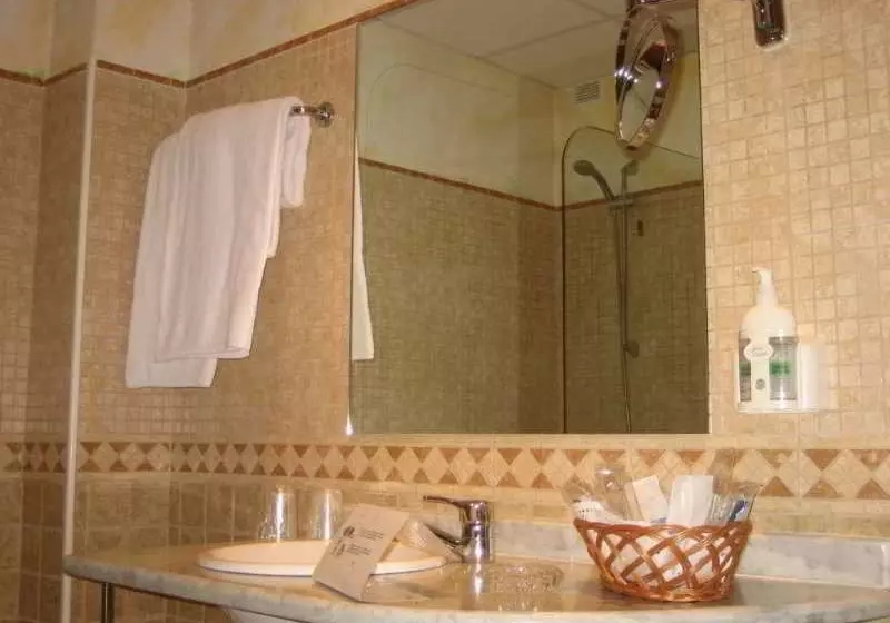 Fotos del hotel Santiago:  11