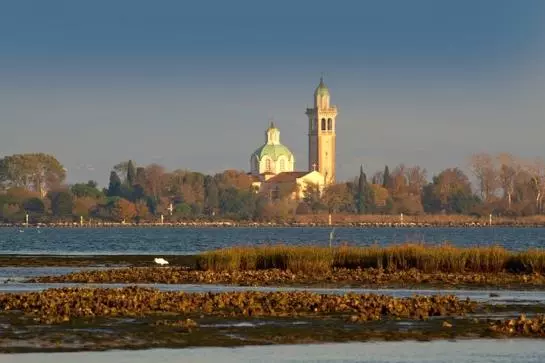 Fotos del hotel Plaza:  13