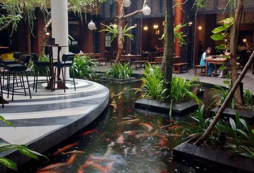 Fotos del hotel Swiss-belhotel Rainforest:  4