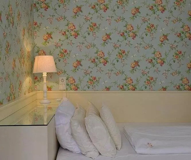 Fotos del hotel Domstern:  20