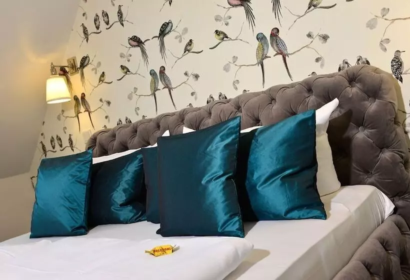 Fotos del hotel Domstern:  24