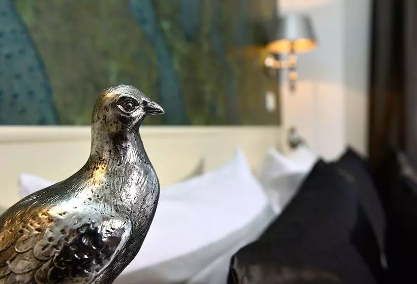 Fotos del hotel Domstern:  7