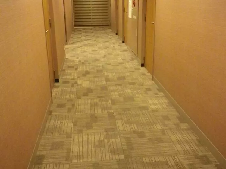 Fotos del hotel Dormy Inn Akihabara:  18