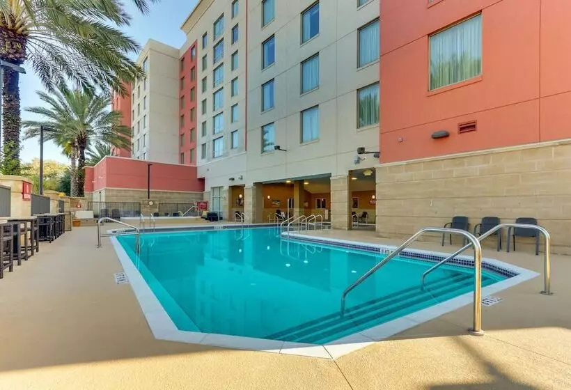Fotos del hotel Drury Inn & Suites Orlando Near Universal Orlando Resort:  8