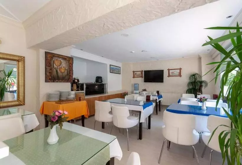 Fotos del hotel Sirma Sultan  Istanbul:  4