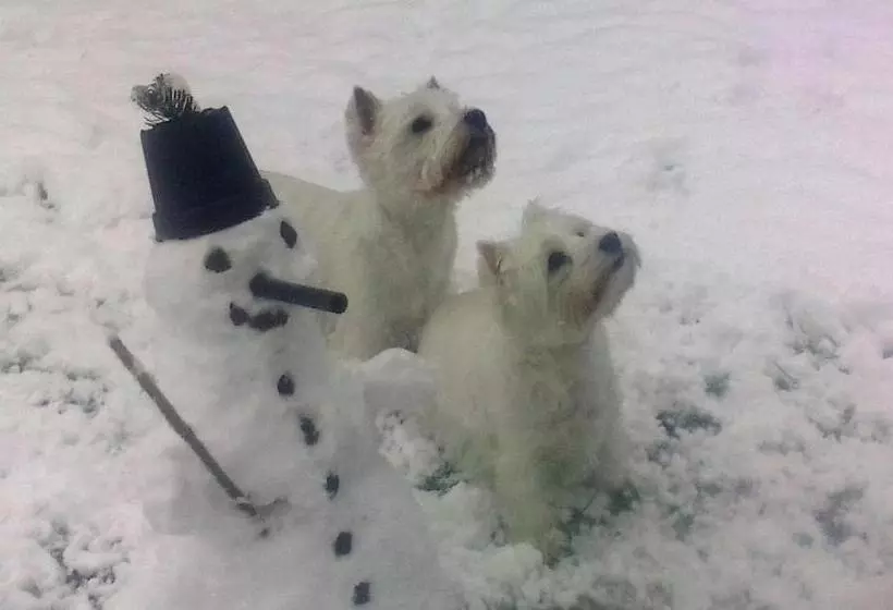 Fotos del hotel Alpen Tauernstüberl:  8