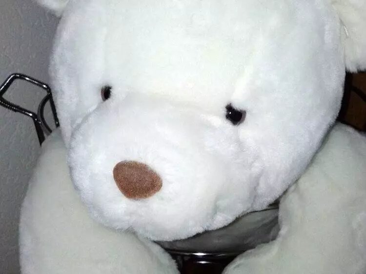 Fotos del hotel Vergeiner:  20