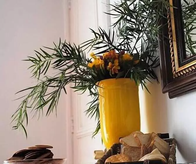 Fotos del hotel Las Hortensias:  5