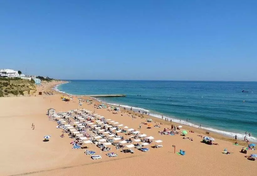 Fotos del hotel Bertolina Guest House:  9