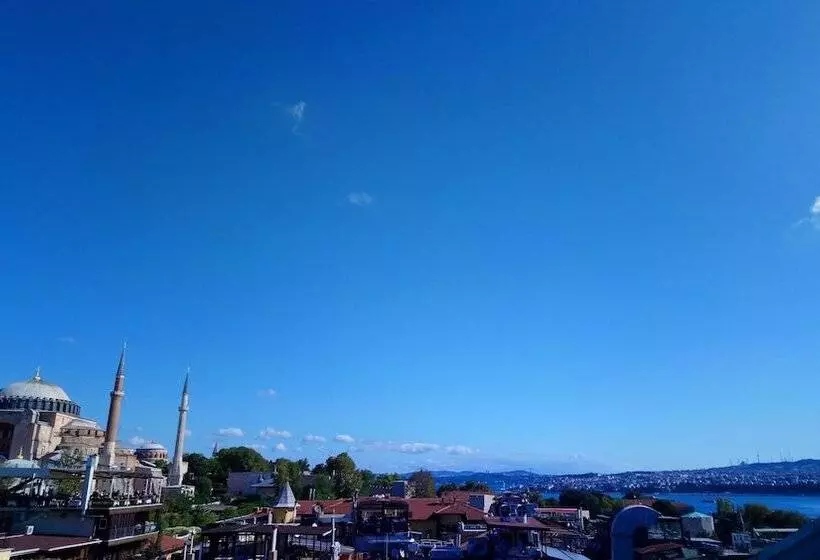 Fotos del hotel Cosmopolitan Park:  9