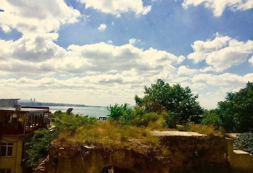 Fotos del hotel Cosmopolitan Park:  18