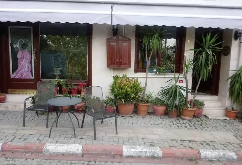 Fotos del hotel Cosmopolitan Park:  7