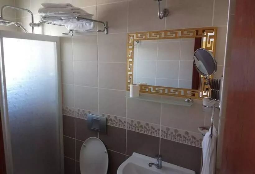 Fotos del hotel Cosmopolitan Park:  15