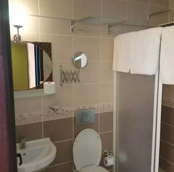 Fotos del hotel Cosmopolitan Park:  19