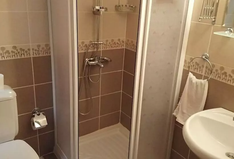 Fotos del hotel Cosmopolitan Park:  17