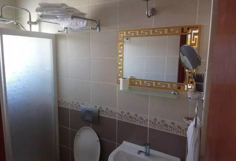 Fotos del hotel Cosmopolitan Park:  23