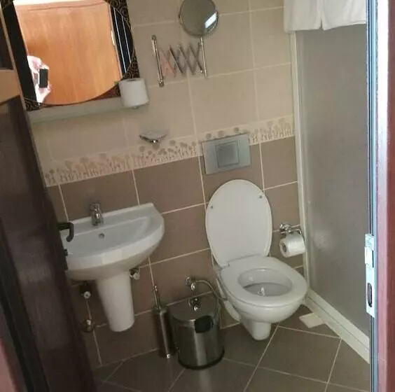 Fotos del hotel Cosmopolitan Park:  8