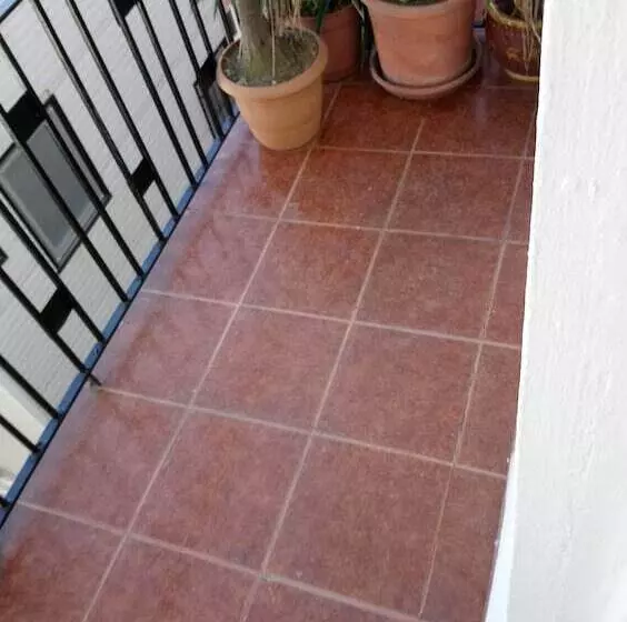 Fotos del hotel Cosmopolitan Park:  3