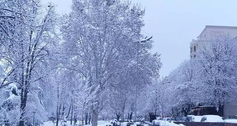 Fotos del hotel Manjež Exclusive Villa:  9