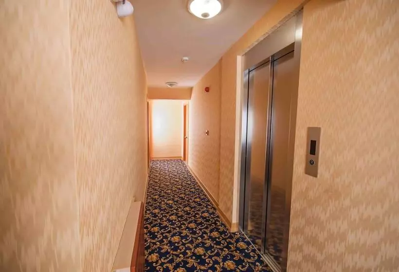 Fotos del hotel Timeks  Sultanahmet:  25