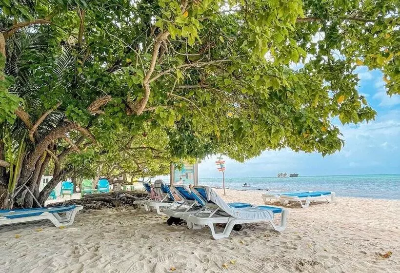 Fotos del hotel Cocoplum Beach:  11