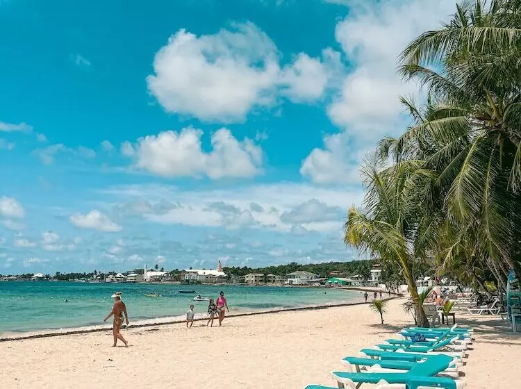 Fotos del hotel Cocoplum Beach:  9