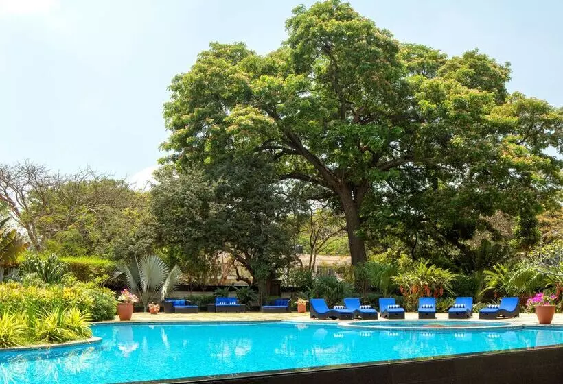 Fotos del hotel Radisson Blu Plaza Hotel Mysore:  11