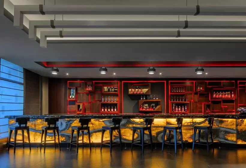 Fotos del hotel Radisson Blu Plaza Hotel Mysore:  6