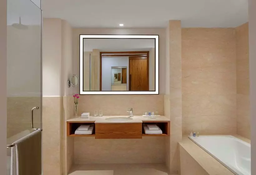 Fotos del hotel Radisson Blu Plaza Hotel Mysore:  15