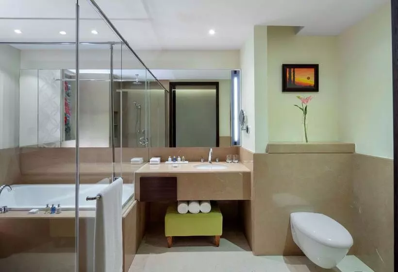 Fotos del hotel Radisson Blu Plaza Hotel Mysore:  8