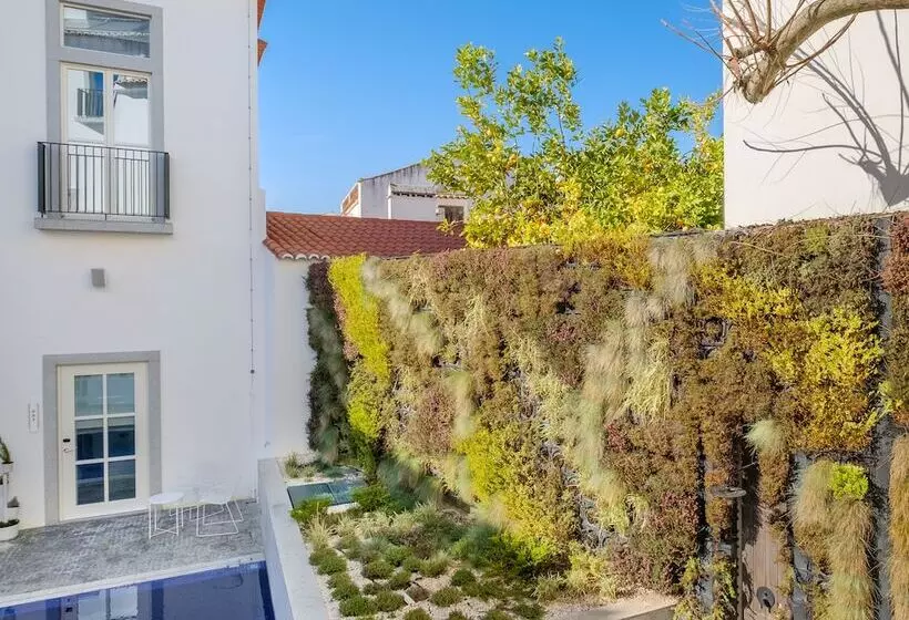 Fotos del hotel Mourasuites:  16