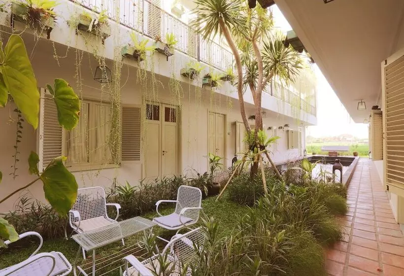 Fotos del hotel Brown Feather:  12