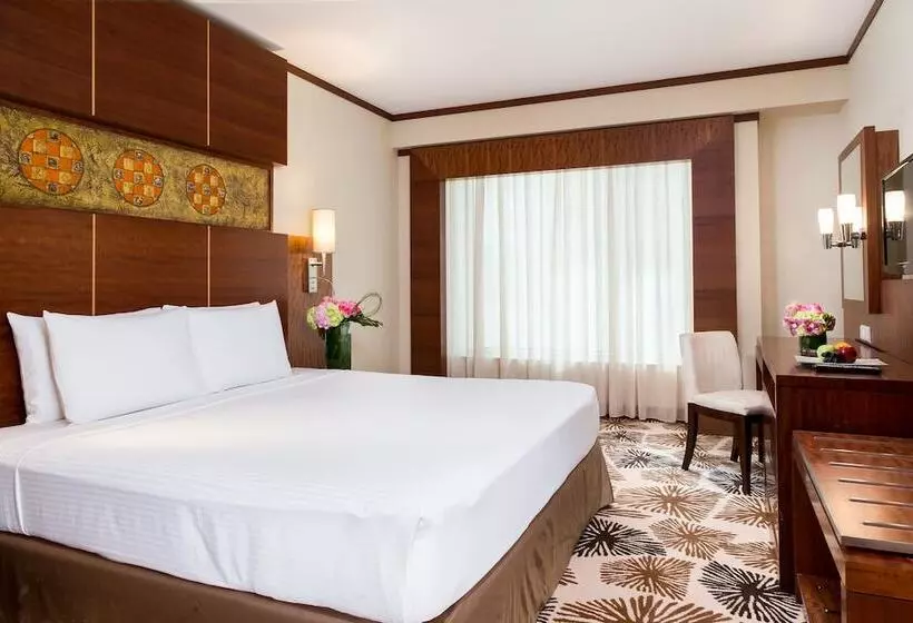Fotos del hotel Carlton Downtown:  59