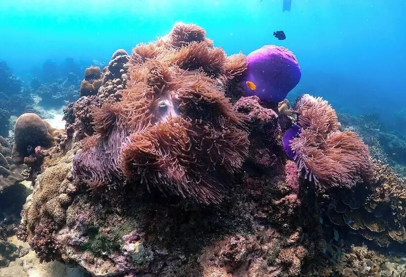 Fotos del hotel Hyatt Regency Phuket Resort:  4