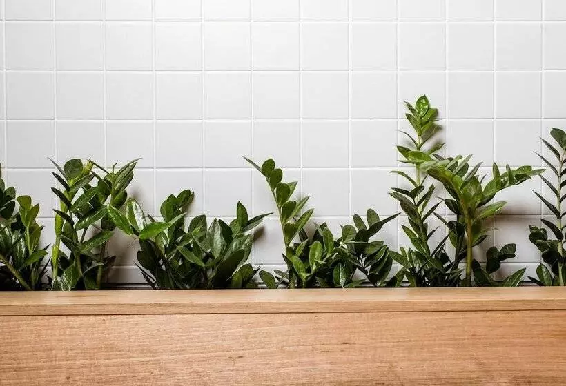 Fotos del hotel Lakes:  10