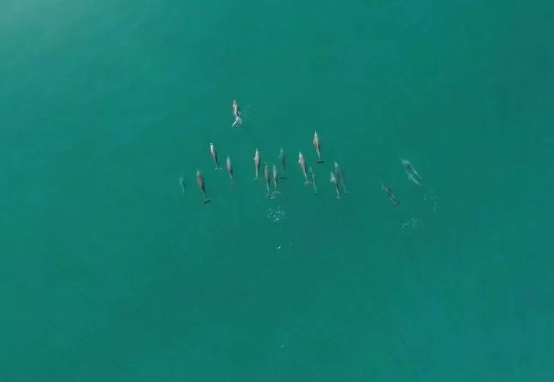 Fotos del hotel Lennox Beach Resort:  11