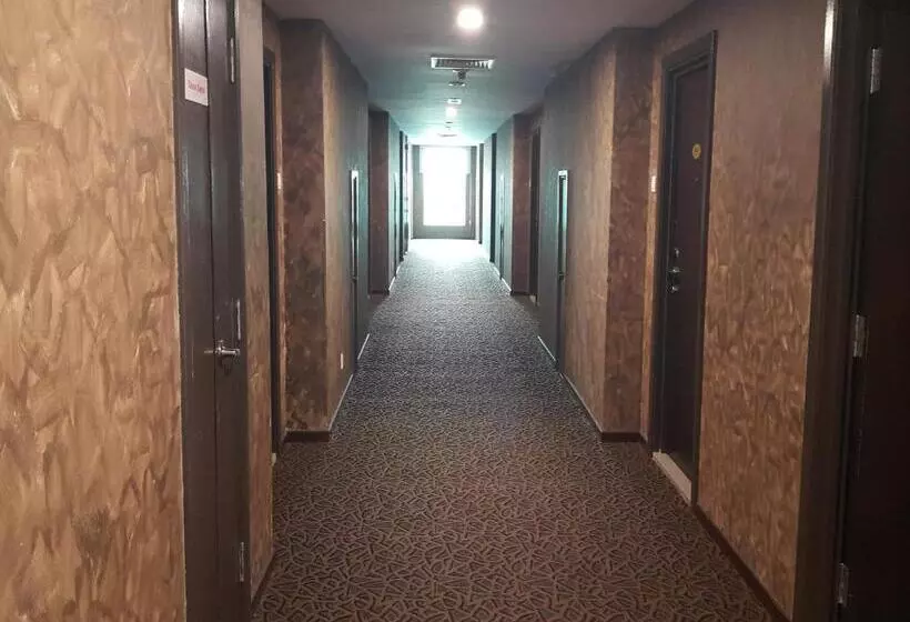 Fotos del hotel Marvelux:  2