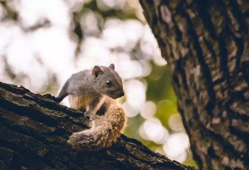 Fotos del hotel Millennium Resort Hangzhou:  11