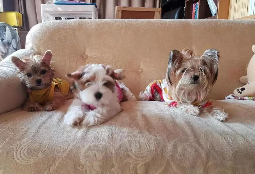 Fotos del hotel Ruean Racha Resort:  10