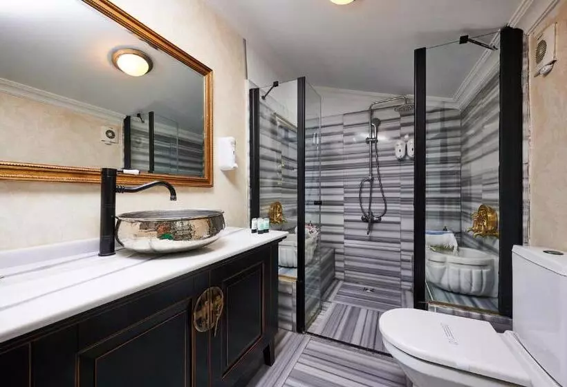 Fotos del hotel Faik Pasha Suites:  5