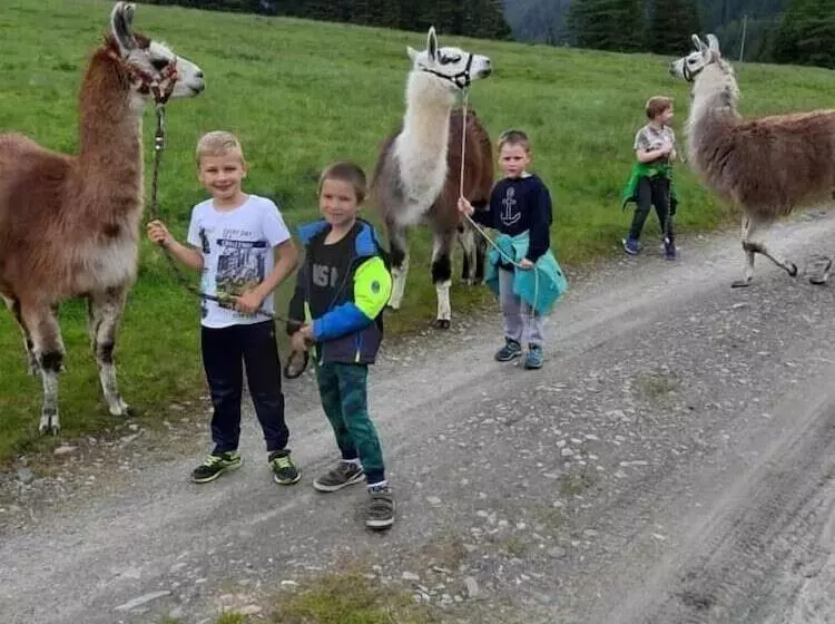 Fotos del hotel Hubertus:  14