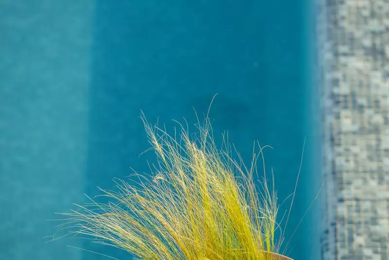 Fotos del hotel Sahrai:  8