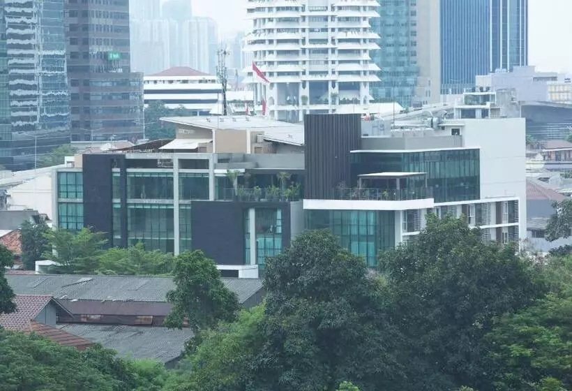 Fotos del hotel Avissa Suites:  10