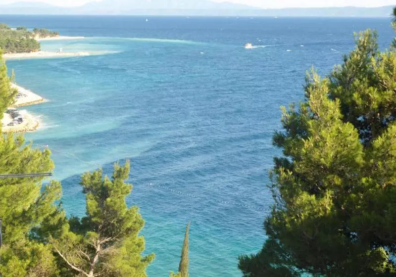 Fotos del hotel Boris:  3