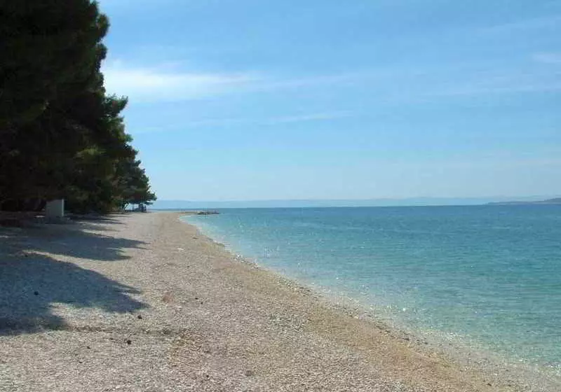 Fotos del hotel Boris:  15