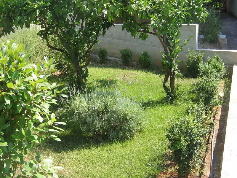 Fotos del hotel Marin:  4