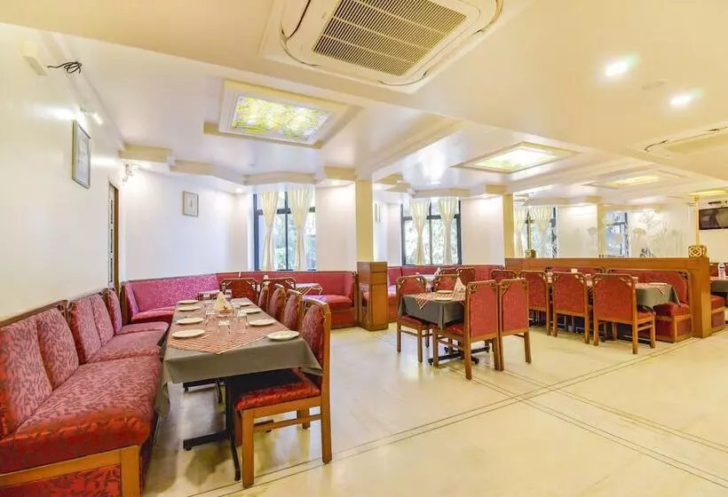 Fotos del hotel Ashish Plaza:  7