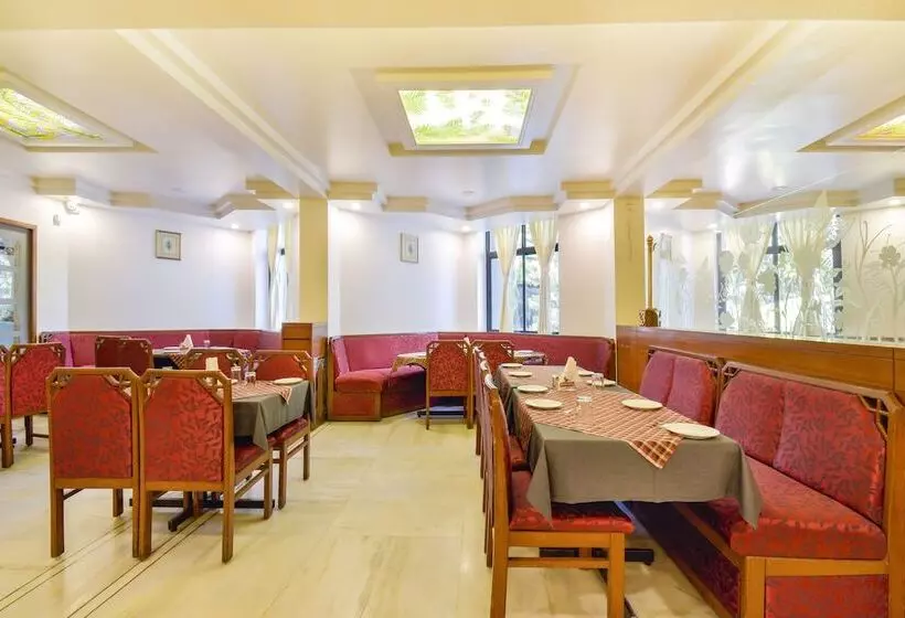 Fotos del hotel Ashish Plaza:  3